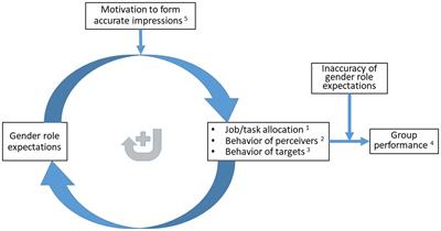 The Flywheel Effect of Gender Role Expectations in Diverse Work Groups